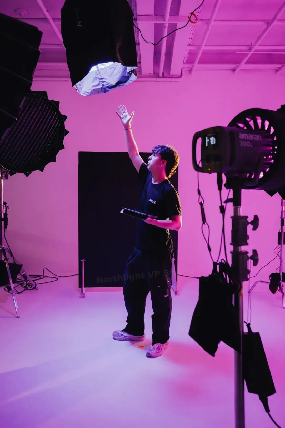 Northlight VP Studio 11